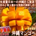 産地直送 沖縄マンゴ...