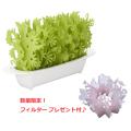 ミクニ エコ加湿器 ミ...