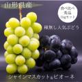 ふるさと納税 山形県 2024年9月以降出荷【村山地域】種無しぶどう食べ比べみちのくのシャインマスカ...