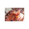 「ハヤブサ FS435-5-2ヒラリン ケイムラピンクイワシ蛍光ピンク　1個（直送品）」の商品サムネイル画像3枚目