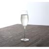 「清水産業株式会社 サンテ シャンパングラス 210ml 2個組 120389 1セット(2個入)（直送品）」の商品サムネイル画像3枚目
