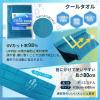 「【デラックス】熱中症対策キットDX (レッド) クーラーバッグに入った応急処置セット(水分補給/塩分/保存水/防災/非常用)（直送品）」の商品サムネイル画像9枚目