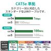 「LANケーブル 300m cat5e 単線 箱入り(リレックス) ライトグレー LD-CT2/LG300/RS エレコム 1本（直送品）」の商品サムネイル画像3枚目