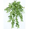 「タカショー 人工観葉植物 ポトスブッシュ ハンギング 50cm 1セット（2本入 ）（直送品）」の商品サムネイル画像1枚目