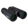 「CELESTRON (セレストロン) Regal ED 8x42 ダハプリズム双眼鏡 CE-BBRL-71390 1台（直送品）」の商品サムネイル画像3枚目