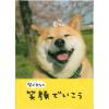 「学研ステイフル 柴犬 まるCUメッセージブック（柴犬まる） E10058 3冊（直送品）」の商品サムネイル画像1枚目