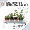 「第一ビニール 多肉マンション 観葉/多肉植物用ゲージ 4968438026015 1箱(3個入)（直送品）」の商品サムネイル画像6枚目