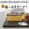 「FUJI 濃厚カタラーナ プレーン 2本(2種) 1箱（直送品）」の商品サムネイル画像2枚目