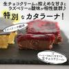 「FUJI 濃厚カタラーナ プレーン 2本(2種) 1箱（直送品）」の商品サムネイル画像3枚目