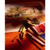 「ターレンスジャパン カレーパステル人物画用24色セット 458025 1セット（6個）（直送品）」の商品サムネイル画像3枚目