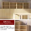 「Garage fantoni収納庫用 /追加棚板 幅863×奥行400×高さ22mm 木目（NF） 1セット（2枚入）（直送品）」の商品サムネイル画像7枚目