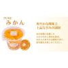「たらみ PURE みかん 270g×36個 4955129022012（直送品）」の商品サムネイル画像6枚目