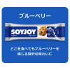 「ソイジョイ　ブルーベリー　1セット（12本）　栄養食品　低GI食品　大塚製薬」の商品サムネイル画像3枚目