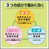 「トクホンE 120枚 微香性 大正製薬 ★控除★ 湿布 シップ 筋肉痛　関節痛【第3類医薬品】」の商品サムネイル画像6枚目