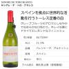 「（エノテカ）トーレス サングレ・デ・トロ ブランコ 750ml  白ワイン 1本」の商品サムネイル画像2枚目
