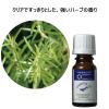 「生活の木 エッセンシャルオイル ローズマリー・シネオール 1本（10mL）」の商品サムネイル画像1枚目