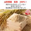 「東洋水産　マルちゃん 玄米ごはん 3食パック　1個（3食入）パックご飯　雑穀米」の商品サムネイル画像2枚目