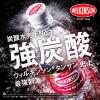 「アサヒ飲料 WILKINSON（ウィルキンソン） タンサン 1L 1箱（12本入）」の商品サムネイル画像3枚目
