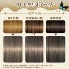 「ルシードエル ミルクジャムヘアカラー＃クラシックミルクティ レディース用 髪染め 1剤40g・2剤80ml・TR5g  マンダム（医薬部外品）」の商品サムネイル画像3枚目