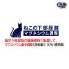 「銀のスプーン 三ツ星グルメ 子ねこ用 お魚レシピ 国産 240g（20g×12袋）3個 キャットフード 猫 ドライ」の商品サムネイル画像7枚目