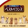 「ベストバランス トイプードル用 鶏ささみ・緑黄色野菜・キャベツ入り 60g 12袋 国産 ドッグフード 犬 ウェット パウチ」の商品サムネイル画像2枚目