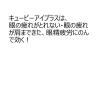 「キューピーコーワiプラス 180錠 興和 ★控除★ 飲み薬 眼精疲労 肩こり【第3類医薬品】」の商品サムネイル画像2枚目