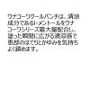 「ウナコーワクールパンチ 30ml 興和★控除★ 冷たい刺激 かゆみ 虫刺され【第2類医薬品】」の商品サムネイル画像2枚目