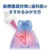「デントヘルス ハブラシ やさしくケア マッサージ ふつう ライオン 歯ブラシ 歯槽膿漏対策」の商品サムネイル画像4枚目