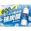 「ポッカサッポロフード＆ビバレッジ おいしい炭酸水 600ml 1セット（6本）」の商品サムネイル画像3枚目