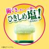 「歯磨き粉 歯槽膿漏 ディープクリーン ひきしめ塩 薬用ハミガキ 100g 花王 歯周病・口臭予防」の商品サムネイル画像7枚目