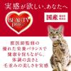 「ビューティープロ 2ヶ月から12ヶ月までの子猫用 国産 1.5kg 2袋 日本ペットフード キャットフード 猫 ドライ」の商品サムネイル画像9枚目