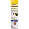 「サロンドプロ　カラーオンリタッチ　白髪かくしEX　明るいライトブラウン　ヘアマスカラ　ダリヤ」の商品サムネイル画像2枚目