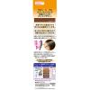 「サロンドプロ　カラーオンリタッチ　白髪かくしEX　ライトブラウン　ヘアマスカラ ダリヤ」の商品サムネイル画像2枚目