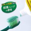 「歯磨き粉 生葉EX（しょうようEX） 歯槽膿漏を防ぐ 薬用ハミガキ ハーブミント味 100ｇ 小林製薬」の商品サムネイル画像7枚目