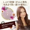「ルシードエル ミルクジャムヘアカラー＃カフェシフォン レディース用 髪染め 1剤40g・2剤80ml・TR5g  マンダム（医薬部外品）」の商品サムネイル画像2枚目