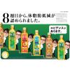 「【トクホ・特保】サントリー 伊右衛門 特茶 500ml 1箱（24本入）」の商品サムネイル画像9枚目