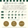 「【 紅茶 ティーバッグ 】 AHMAD TEA (アーマッドティー） ストロベリー 1箱 20袋　［フルーツティー　個包装］」の商品サムネイル画像3枚目