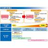 「入れ歯安定剤（総入れ歯・部分入れ歯）タフグリップクリーム 無添加 75ｇ くっつけるタイプ 長時間安定する 小林製薬」の商品サムネイル画像3枚目