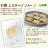 「エルダーフラワーシロップ 有機コーディアルエルダーフラワー　500ml ユウキ食品　ハーブ飲料」の商品サムネイル画像5枚目