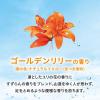 「バブ クール フラワースプラッシュの香り 1箱（12錠入） 花王 (透明タイプ)」の商品サムネイル画像9枚目