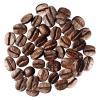 「【コーヒー豆】イリー（illy)ブレンド　ミディアムロースト（クラシコ） 1缶（250g）」の商品サムネイル画像2枚目