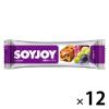 「ソイジョイ　3種のレーズン　1セット（12本）　栄養食品　低GI食品　大塚製薬」の商品サムネイル画像1枚目