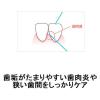 「リーチ・デンタルフロス ワックス 50m」の商品サムネイル画像3枚目