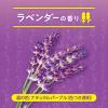 「バブ ラベンダーの香り 1箱（20錠入） 花王 (透明タイプ)」の商品サムネイル画像8枚目