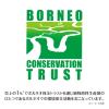 「ヤシノミ洗剤 キッチン泡ハンドソープ 本体 250ml 1個 サラヤ【泡タイプ】」の商品サムネイル画像7枚目