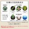 「自然ごこち 沖縄海泥 洗顔石けん 牛乳石鹸共進社」の商品サムネイル画像5枚目