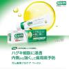 「歯磨き粉 ガム 歯周プロケアペースト 90g サンスター GUM 原因菌を殺菌 歯周病予防 高濃度フッ素 1450ppm」の商品サムネイル画像2枚目
