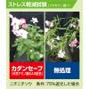 「カダンセーフ 1000ml 1本 園芸用殺虫・殺菌剤 フマキラー」の商品サムネイル画像6枚目