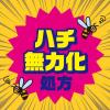 「蜂 カメムシ駆除 スプレー ハチの巣を作らせない ハチアブスーパージェット 455ml 1個 殺虫剤 駆除剤 対策 巣作り阻止 ベランダ アース製薬」の商品サムネイル画像2枚目