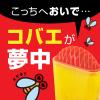 「コバエ取り 対策 駆除剤 コバエがホイホイ スリム 1個 こばえ 捕獲器 置き型 退治 キッチン 台所 ゴミ箱 生ごみ アース製薬」の商品サムネイル画像3枚目